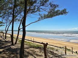 Imagem do evento Bosque da Praia na região da Pousada Guriri